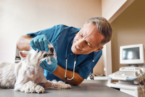 Best Emergency Tooth Extraction in Robinson, TX